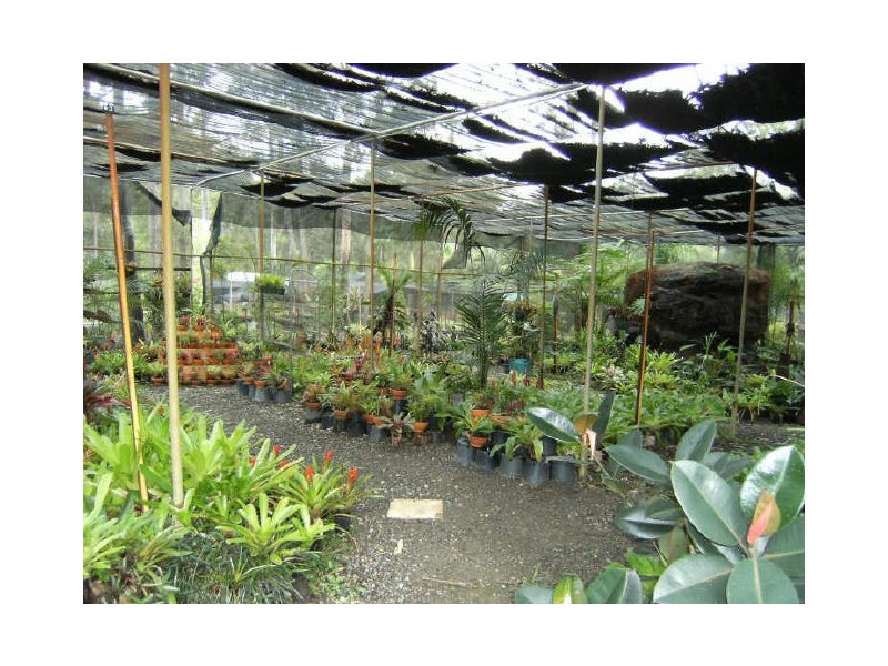 60 Mount Nathan Road, Nerang QLD 4211
