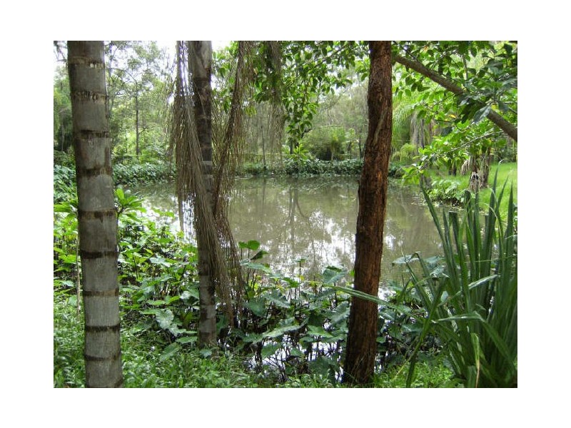 60 Mount Nathan Road, Nerang QLD 4211