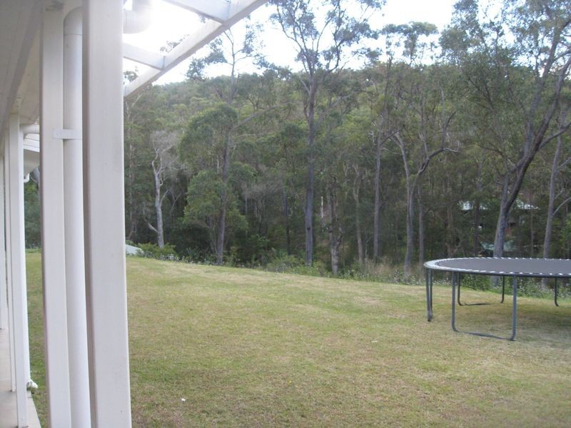 41 Pademelon Pass, Nerang QLD 4211