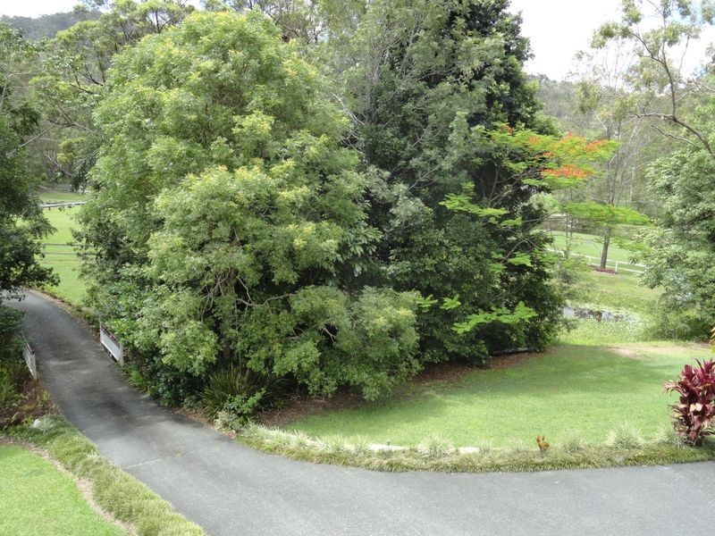 34 Tunbridge Drive, Nerang QLD 4211