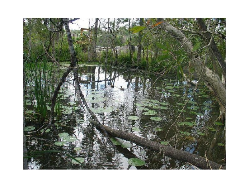 136 Banyula Drive, Gaven QLD 4211