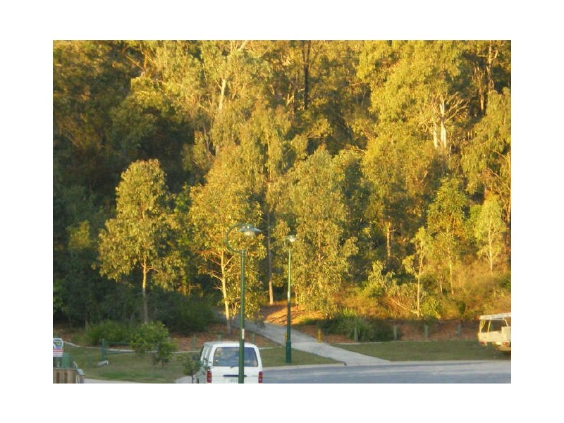 5 Koel Drive, Gilston QLD 4211