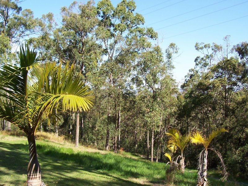 Gaven QLD 4211