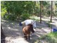 Gaven QLD 4211