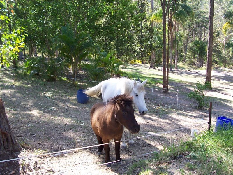 Gaven QLD 4211