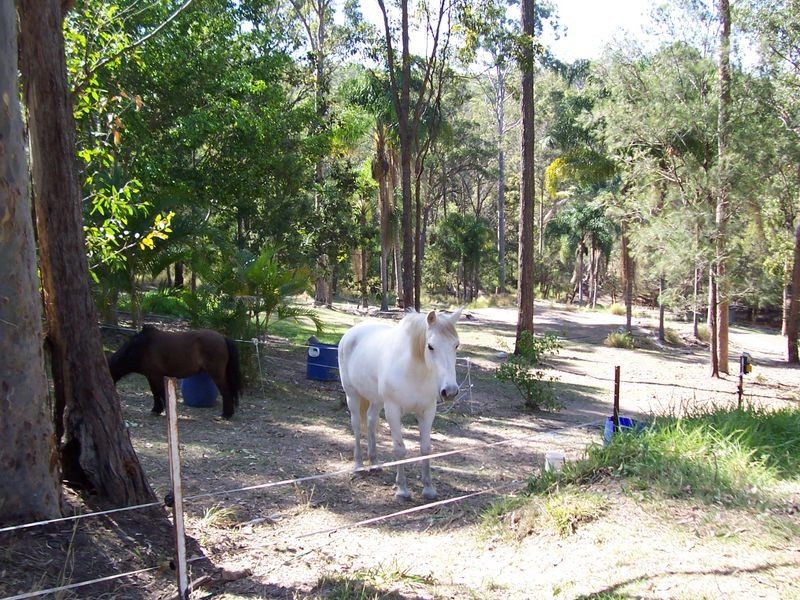 Gaven QLD 4211