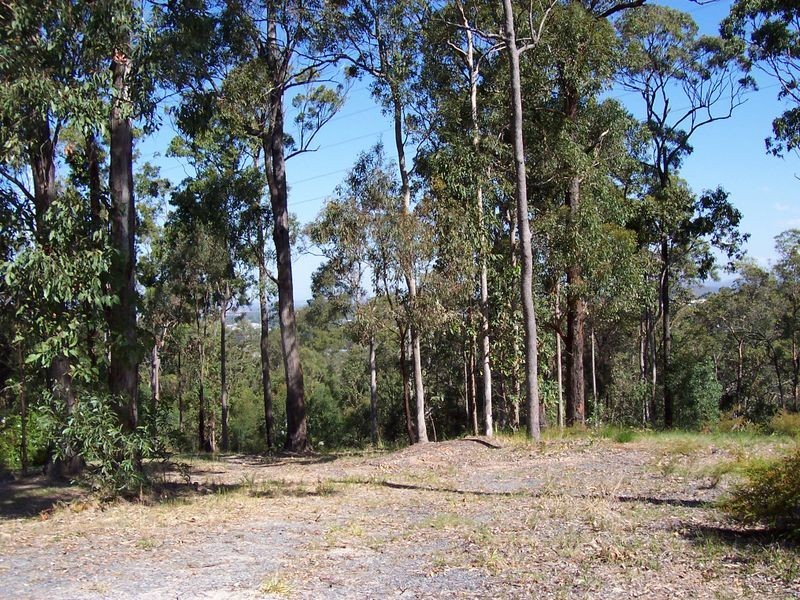 Gaven QLD 4211