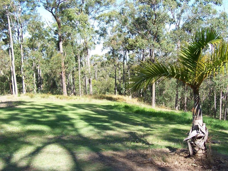 Gaven QLD 4211