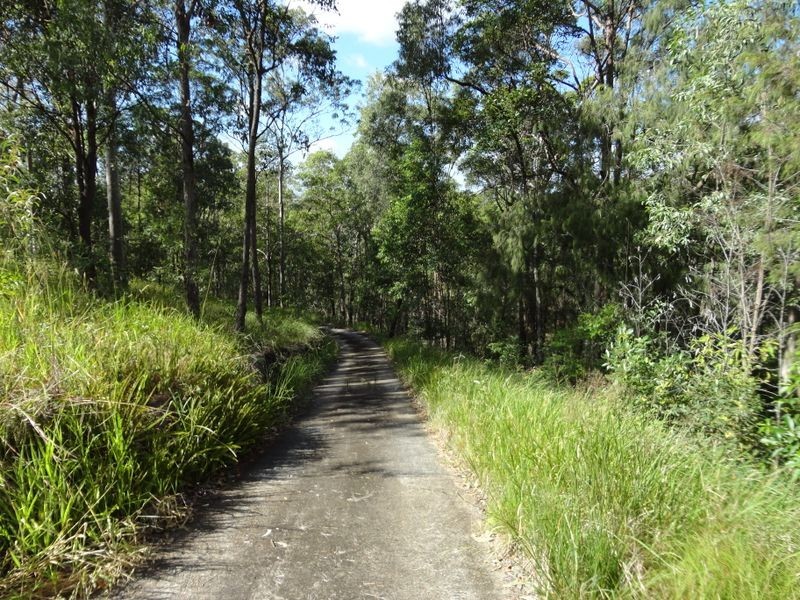 Gaven QLD 4211