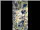 Gaven QLD 4211