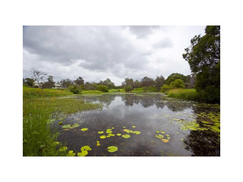 7 Seamist Drive, Nerang QLD 4211