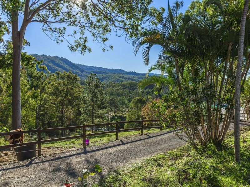 54 Gerara Court, Clagiraba QLD 4211