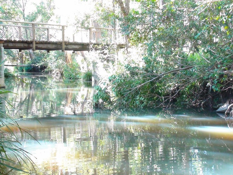 67 Mount Nathan Road, Mount Nathan QLD 4211