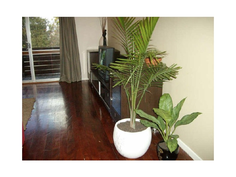 28 Nerang-Broadbeach Road, Nerang QLD 4211