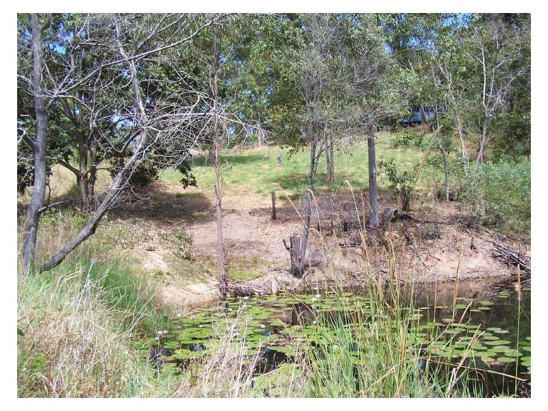 9 Nathan Homestead Road, Mount Nathan QLD 4211