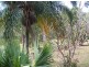 9 Nathan Homestead Road, Mount Nathan QLD 4211