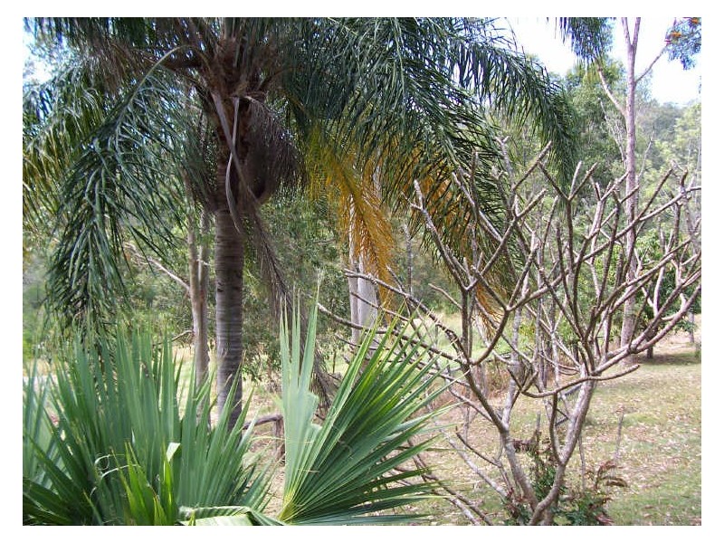 9 Nathan Homestead Road, Mount Nathan QLD 4211