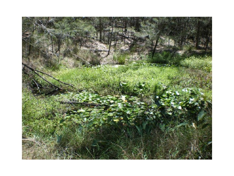 799 Gilston Road, Gilston QLD 4211