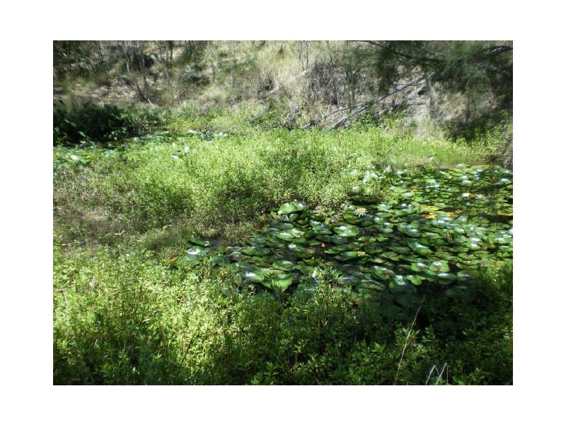 799 Gilston Road, Gilston QLD 4211