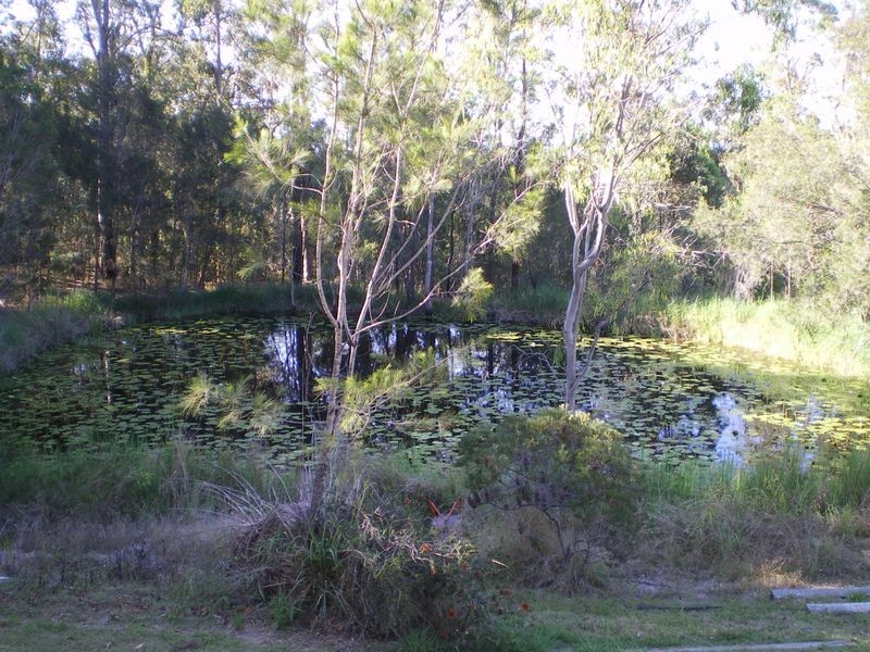 9 Evanita Drive, Gilston QLD 4211