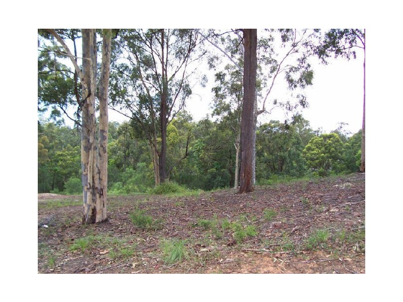 172 San Fernando Drive, Worongary QLD 4213