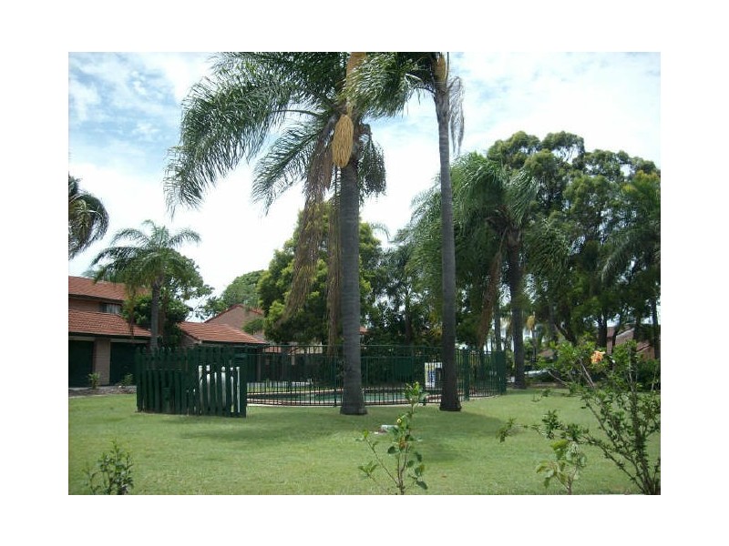 29/86 Lawrence Drive, Nerang QLD 4211