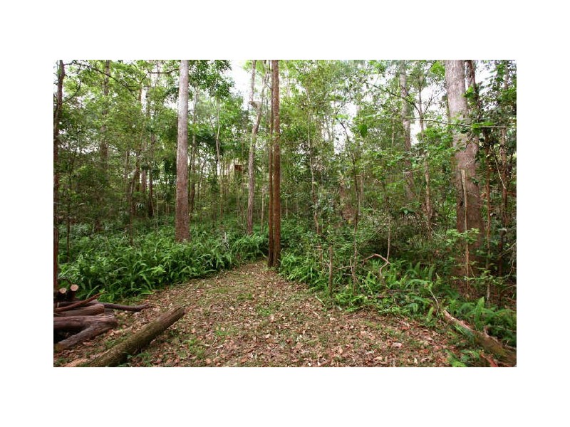 22 Lords Avenue, Mount Nathan QLD 4211