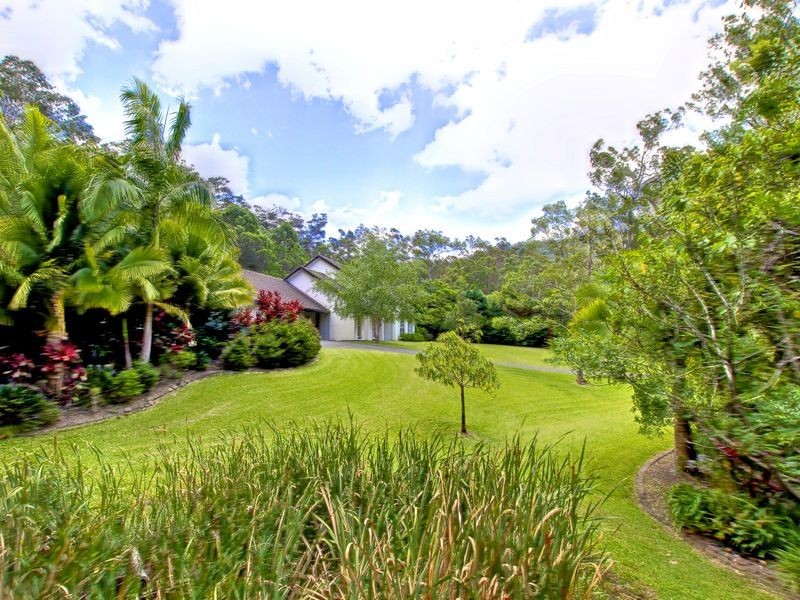 13 Summercreek Lane, Nerang QLD 4211