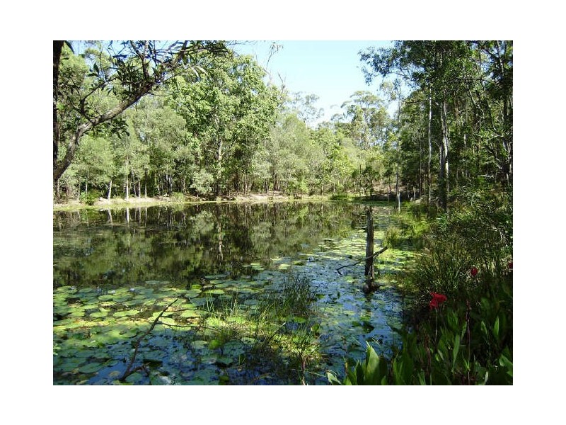 282 Mt Nathan Road, Nerang QLD 4211