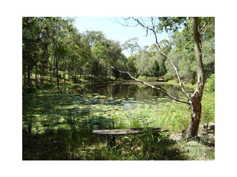 282 Mt Nathan Road, Nerang QLD 4211