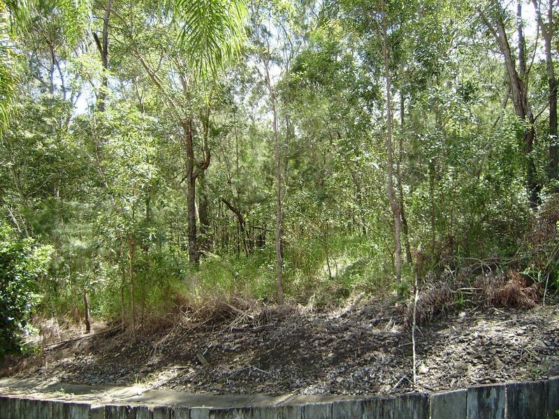 1/8 Bamadi Court, Nerang QLD 4211