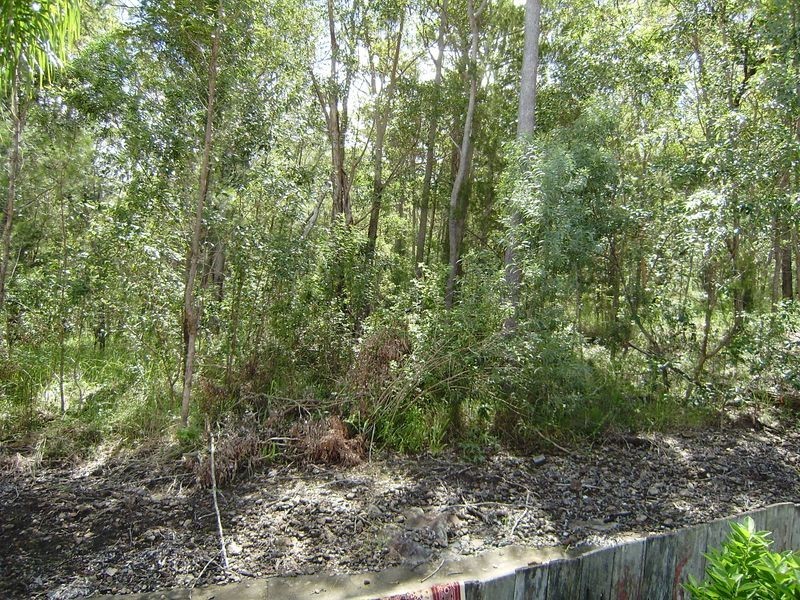 1/8 Bamadi Court, Nerang QLD 4211