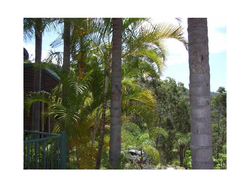 128 Narrow Leaf Road, Advancetown QLD 4211