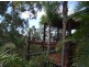 128 Narrow Leaf Road, Advancetown QLD 4211