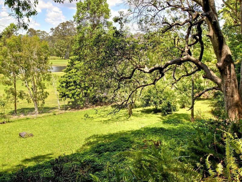 81 Plateau Crescent, Carrara QLD 4211