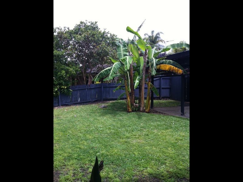 16 Angaston Avenue, Carrara QLD 4211