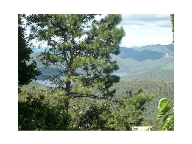 40 Loop Road, Lower Beechmont QLD 4211
