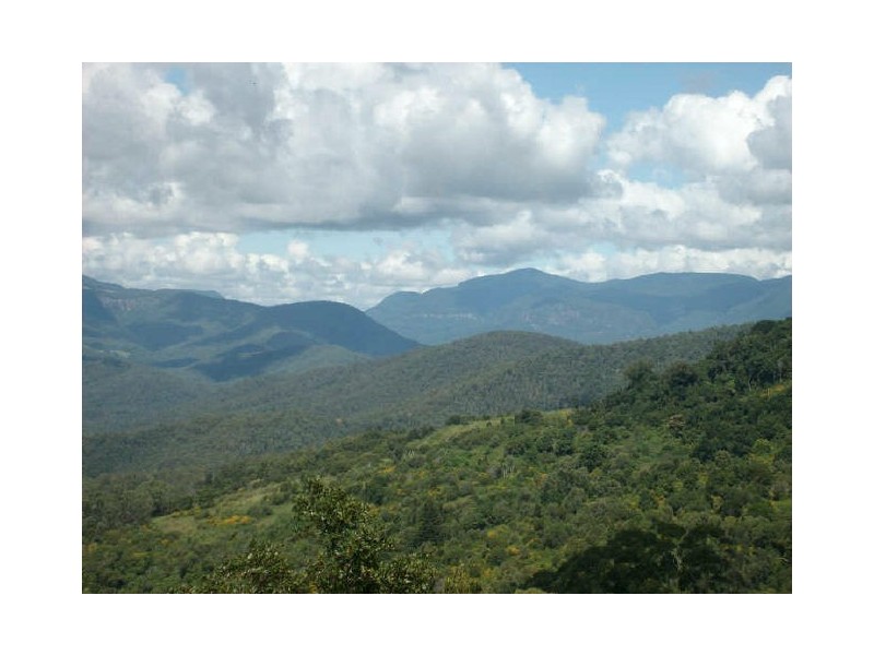 40 Loop Road, Lower Beechmont QLD 4211