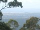 Lot 3 Hellfire Pass, Lower Beechmont QLD 4211