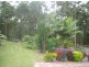 Lot 3 Hellfire Pass, Lower Beechmont QLD 4211