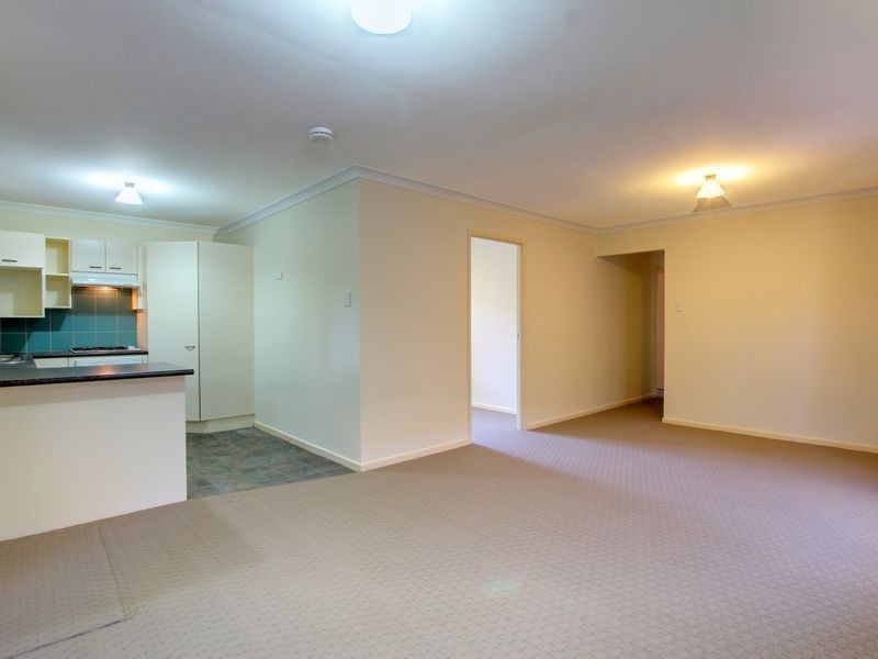 64 Rivergum Drive, Nerang QLD 4211