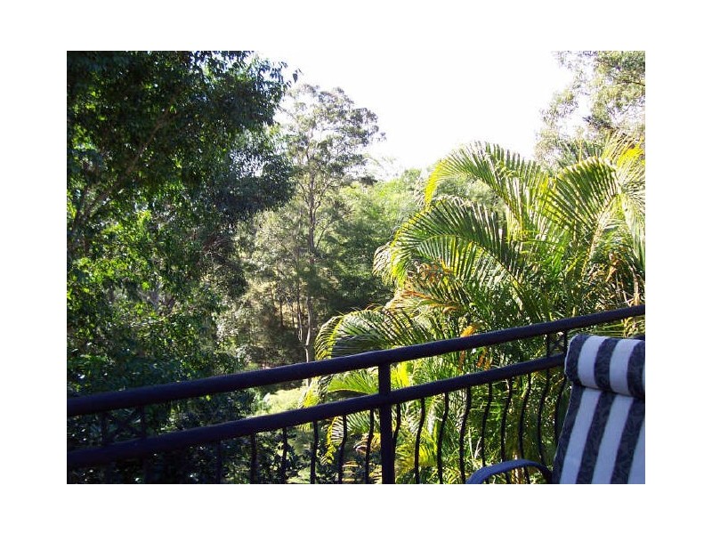 65 Birdlife Court, Nerang QLD 4211