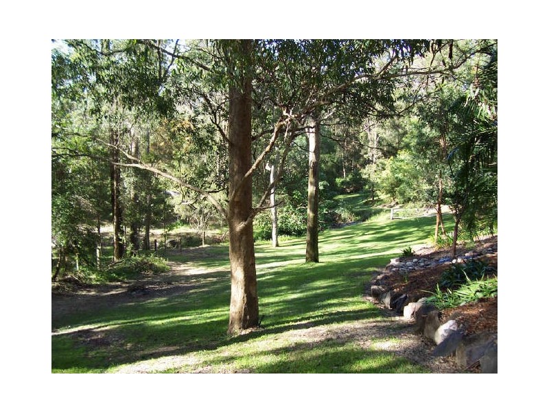 65 Birdlife Court, Nerang QLD 4211