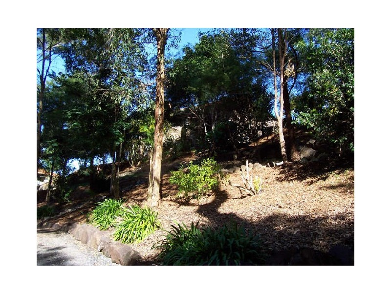 65 Birdlife Court, Nerang QLD 4211