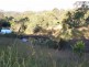 57 Narrow Leaf Road, Advancetown QLD 4211