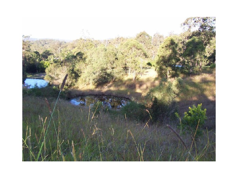 57 Narrow Leaf Road, Advancetown QLD 4211