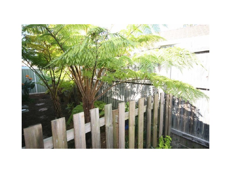 8 Rossmore Street, Nerang QLD 4211