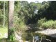 1442 Tallebudgera Creek Road, Tallebudgera QLD 4228