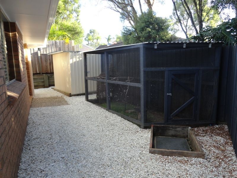 3 Gumleaf Court, Nerang QLD 4211