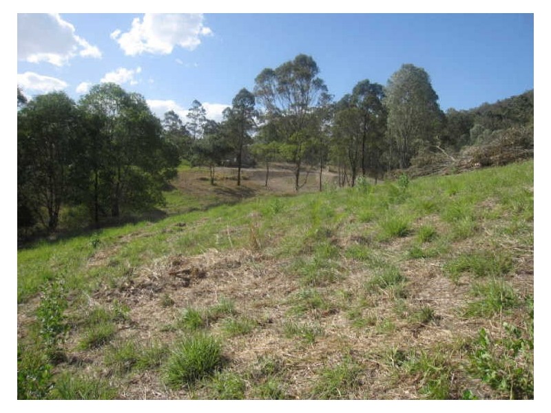 231 Clagiraba Road, Mount Nathan QLD 4211